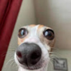 Meet your Posher, Carolina